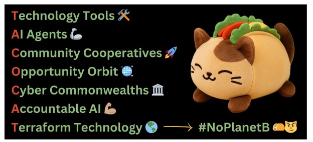 TACOCAT diagram: Technology Tools, AI Agents, Community Cooperatives, Opportunity Orbit, Cyber Commonwealths, Accountable AI, Terraform Technology — #NoPlanetB
